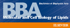 BBA logo